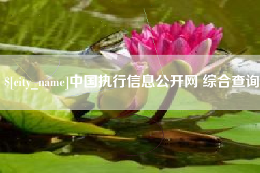 长沙中国执行信息公开网 综合查询