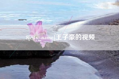长沙王子豪的视频