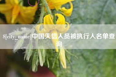 长沙中国失信人员被执行人名单查询