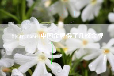 长沙中国金牌得了几枚金牌
