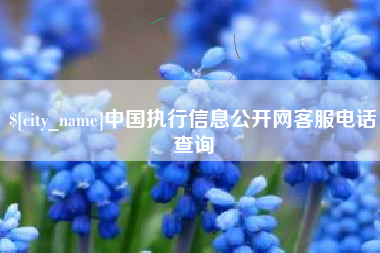 长沙中国执行信息公开网客服电话查询