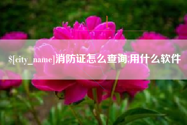 长沙消防证怎么查询,用什么软件