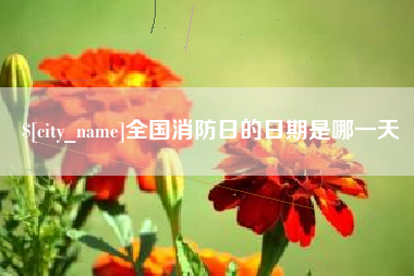 长沙全国消防日的日期是哪一天