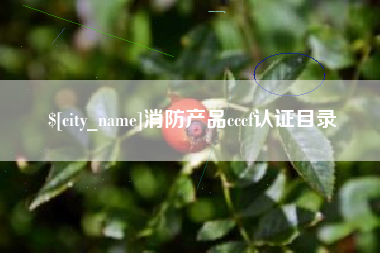 长沙消防产品cccf认证目录