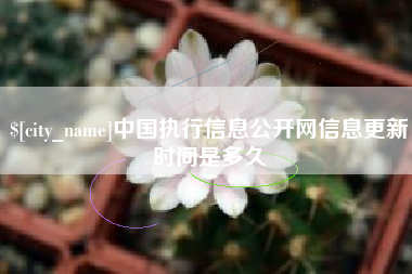 长沙中国执行信息公开网信息更新时间是多久