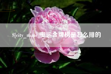 长沙奥运金牌榜是怎么排的