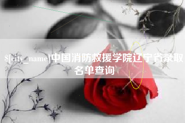 长沙中国消防救援学院辽宁省录取名单查询