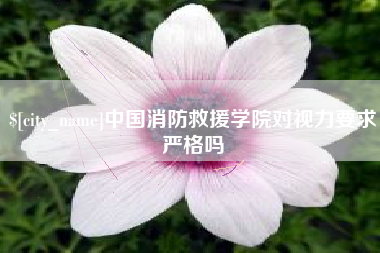 长沙中国消防救援学院对视力要求严格吗