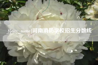 长沙河南消防学校招生分数线
