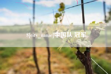 长沙中国队 冠军