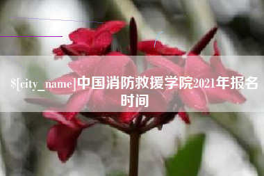 长沙中国消防救援学院2021年报名时间