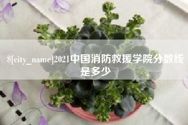 长沙2021中国消防救援学院分数线是多少