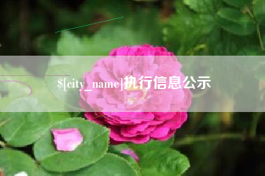 长沙执行信息公示