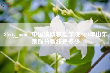 长沙中国消防救援学院2021年山东录取分数线是多少