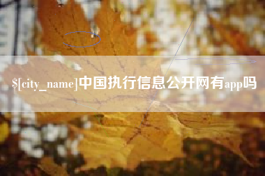 长沙中国执行信息公开网有app吗