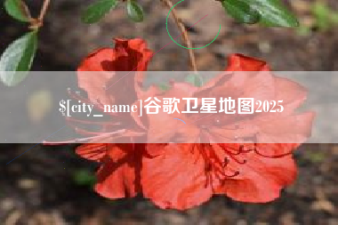 长沙谷歌卫星地图2025