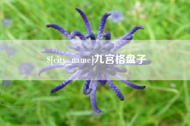 长沙九宫格盘子