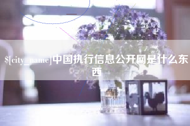 长沙中国执行信息公开网是什么东西