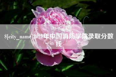 长沙2021年中国消防学院录取分数线