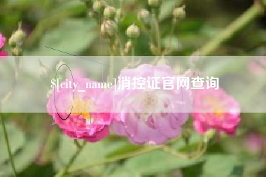 长沙消控证官网查询