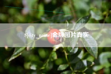 长沙金牌图片真实