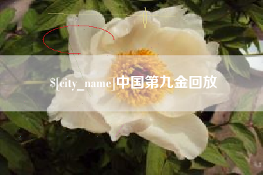 长沙中国第九金回放