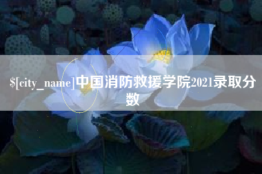 长沙中国消防救援学院2021录取分数
