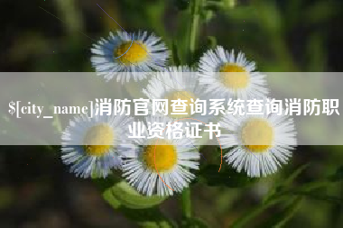 长沙消防官网查询系统查询消防职业资格证书