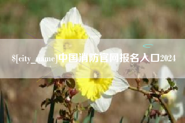 长沙中国消防官网报名入口2024