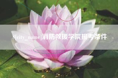 长沙消防救援学院报考条件