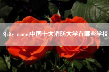 长沙中国十大消防大学有哪些学校