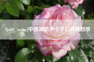 长沙中国消防中小学公开课回放