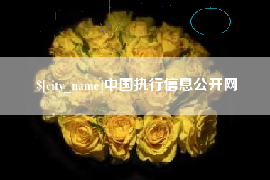 长沙中国执行信息公开网