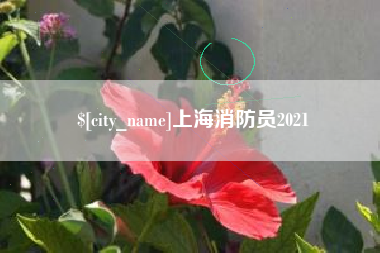 长沙上海消防员2021