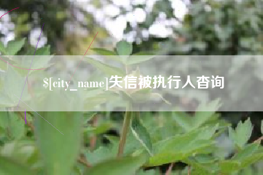 长沙失信被执行人杳询