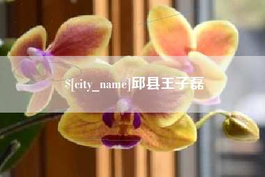 长沙邱县王子磊
