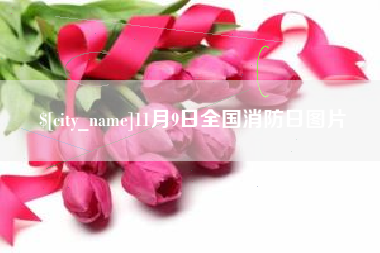 长沙11月9日全国消防日图片