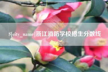长沙浙江消防学校招生分数线