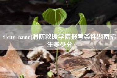 长沙消防救援学院报考条件湖南招生多少分