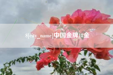 长沙中国金牌18金