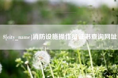 长沙消防设施操作员证书查询网址