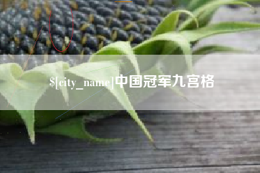 长沙中国冠军九宫格