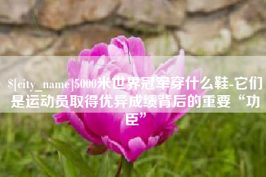 长沙5000米世界冠军穿什么鞋-它们是运动员取得优异成绩背后的重要“功臣”