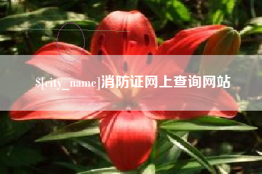 长沙消防证网上查询网站