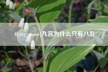 长沙九宫为什么只有八卦