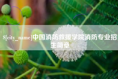 长沙中国消防救援学院消防专业招生简章