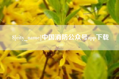 长沙中国消防公众号app下载