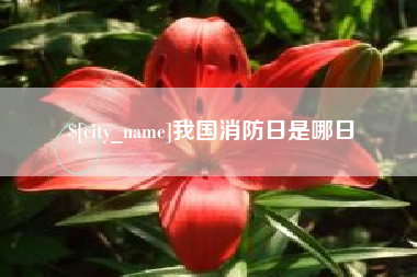 长沙我国消防日是哪日