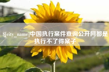 长沙中国执行案件查询公开网都是执行不了得案子