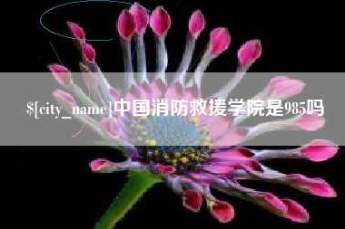 长沙中国消防救援学院是985吗